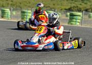 DSC_7231 copie